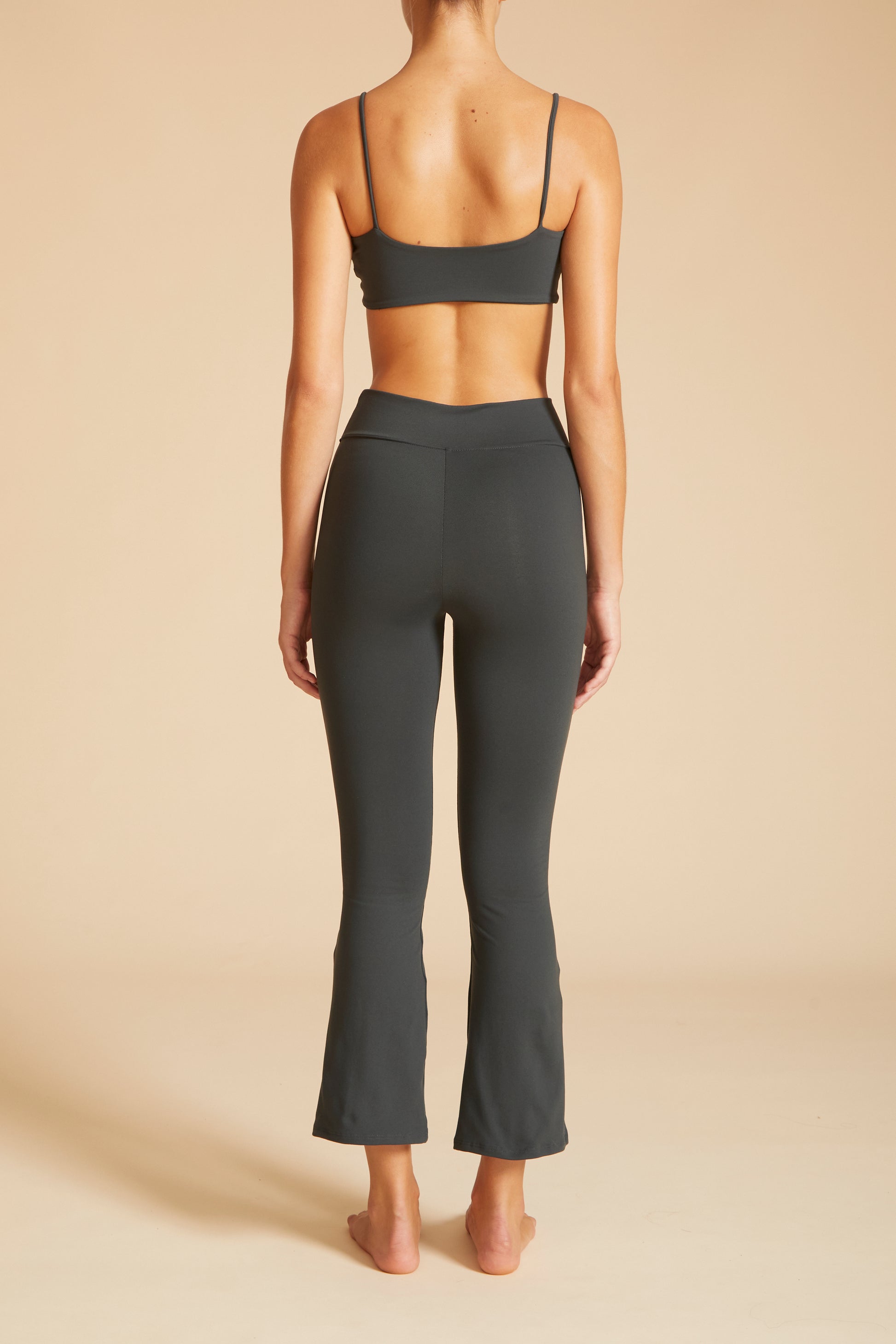 Cosmos Bra Archive
