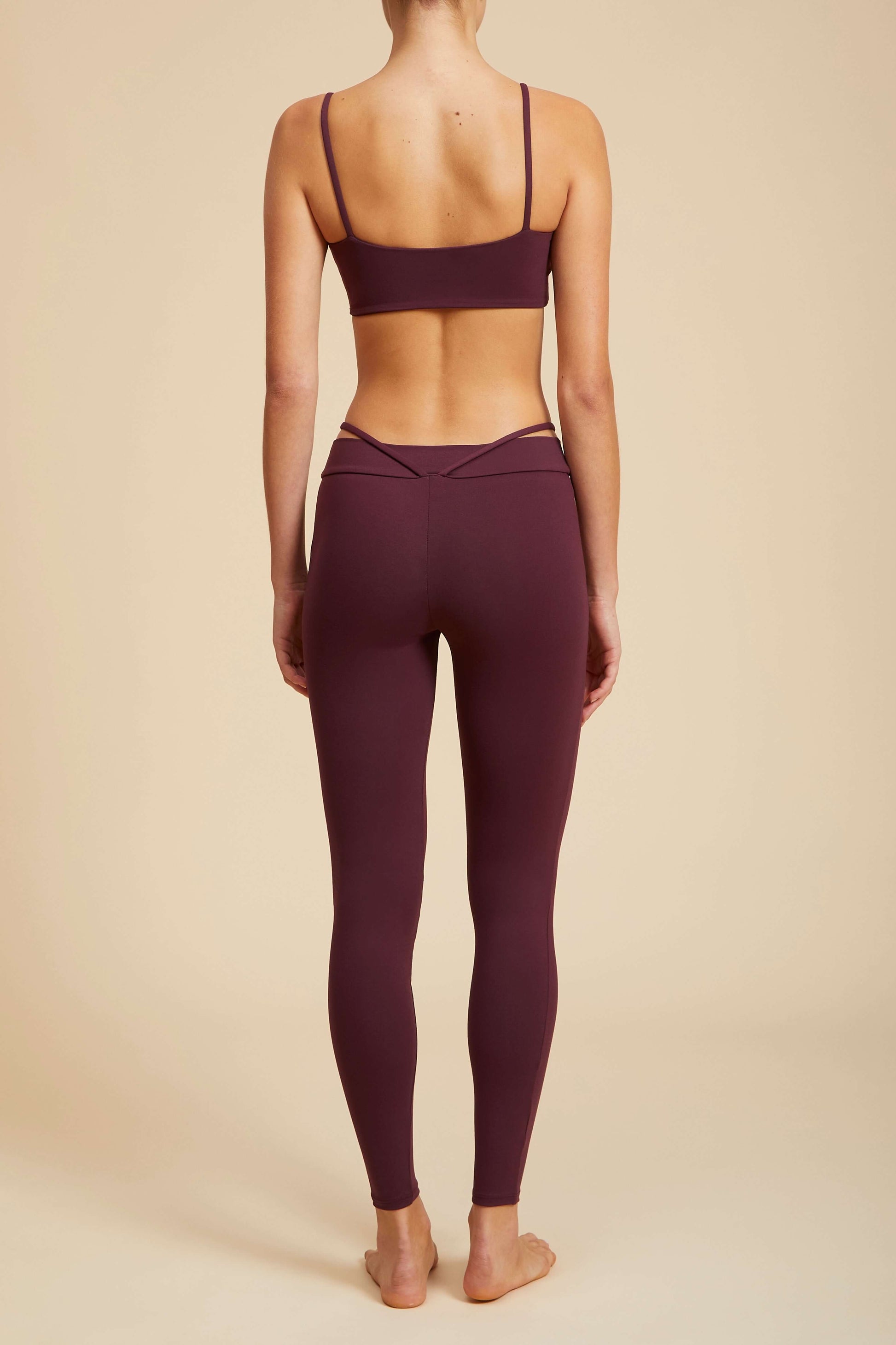 Cosmos Bra Archive