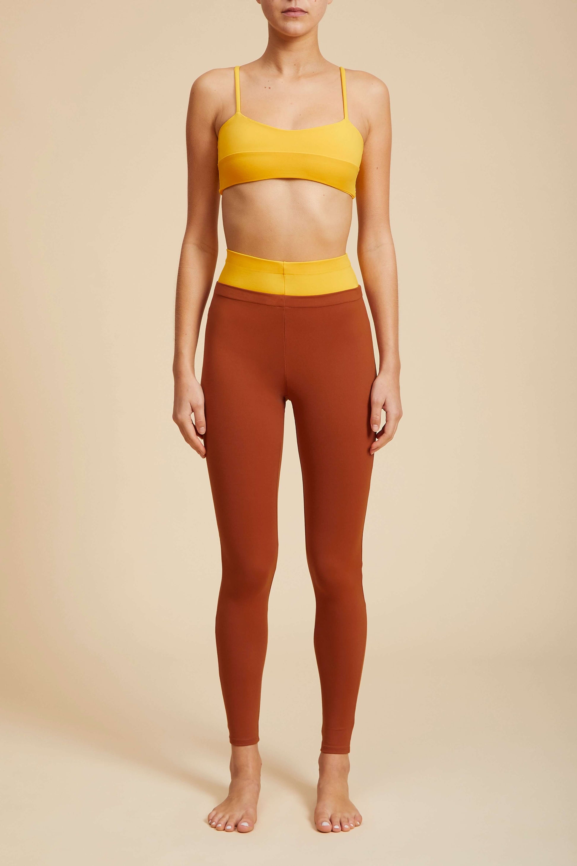 Cosmos Bra Archive