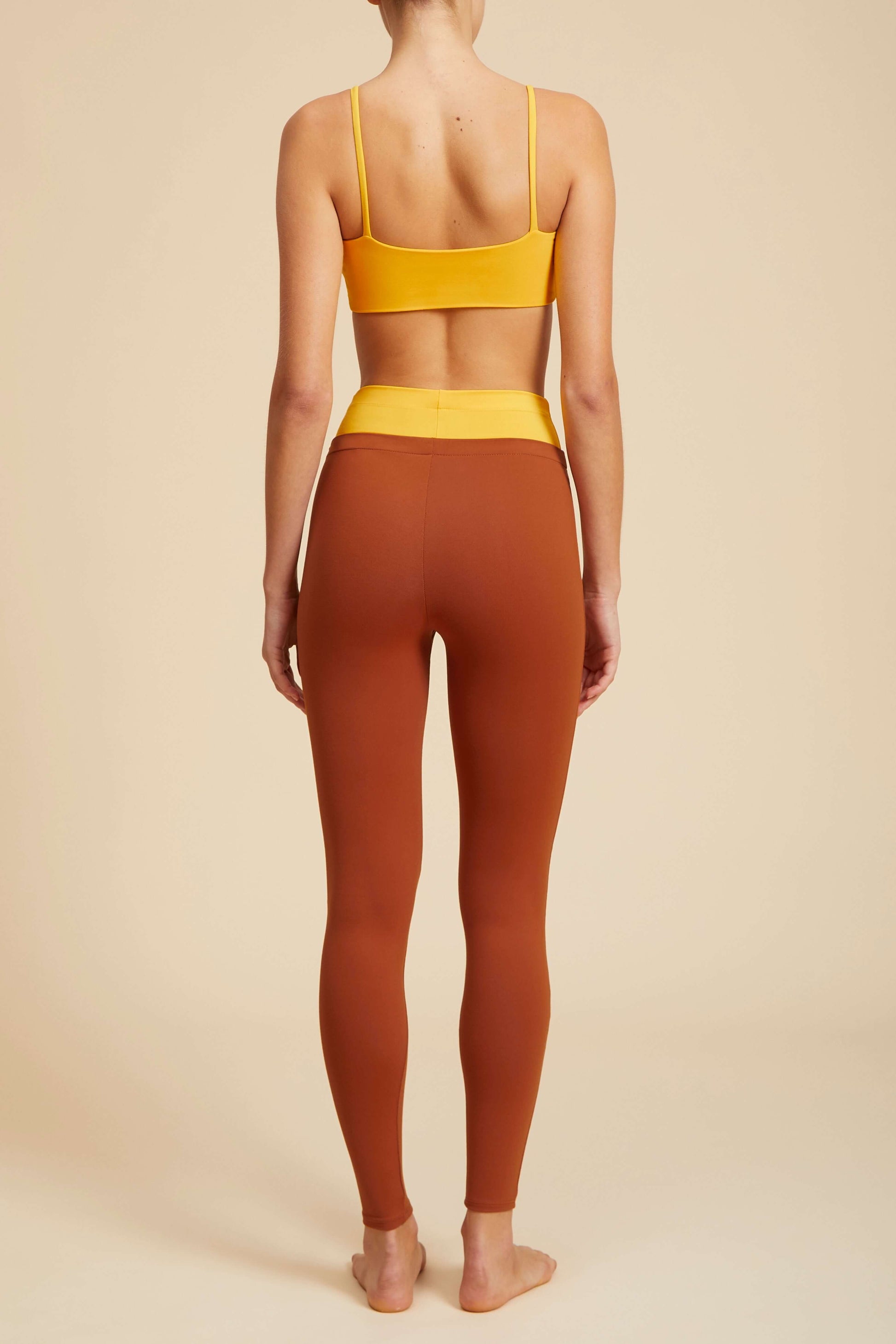Cosmos Bra Archive