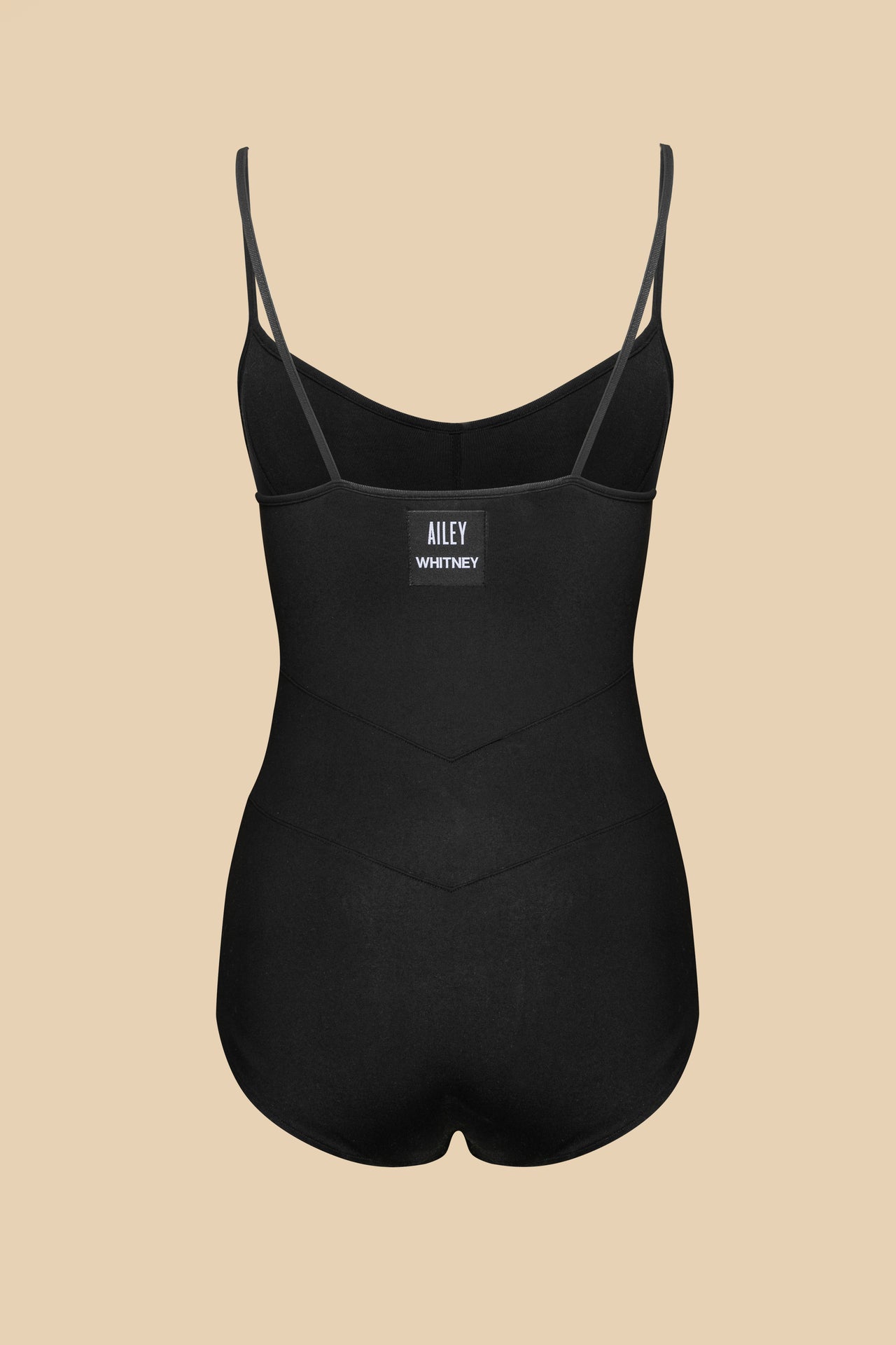 Whitney Ailey Corset Leotard