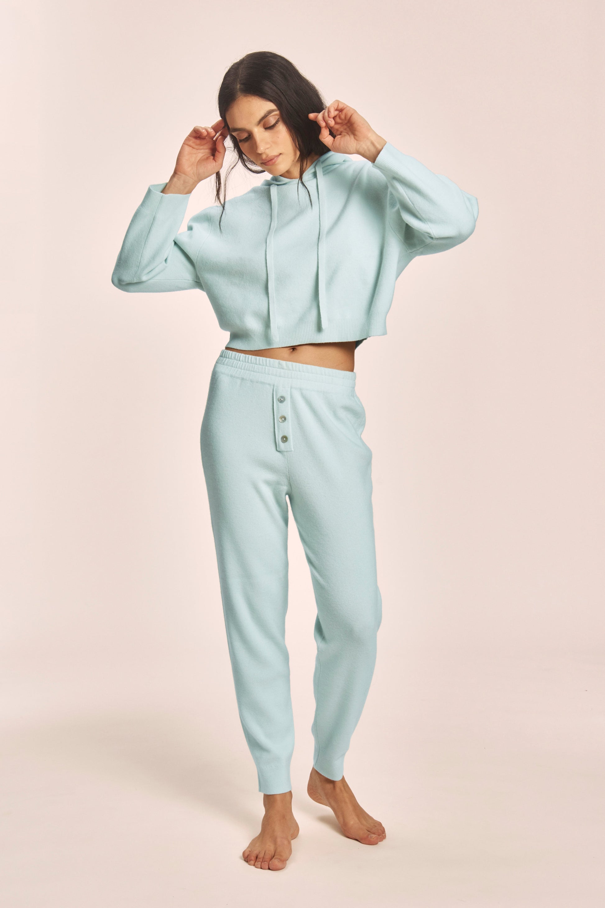 Celeste Hoodie Archive