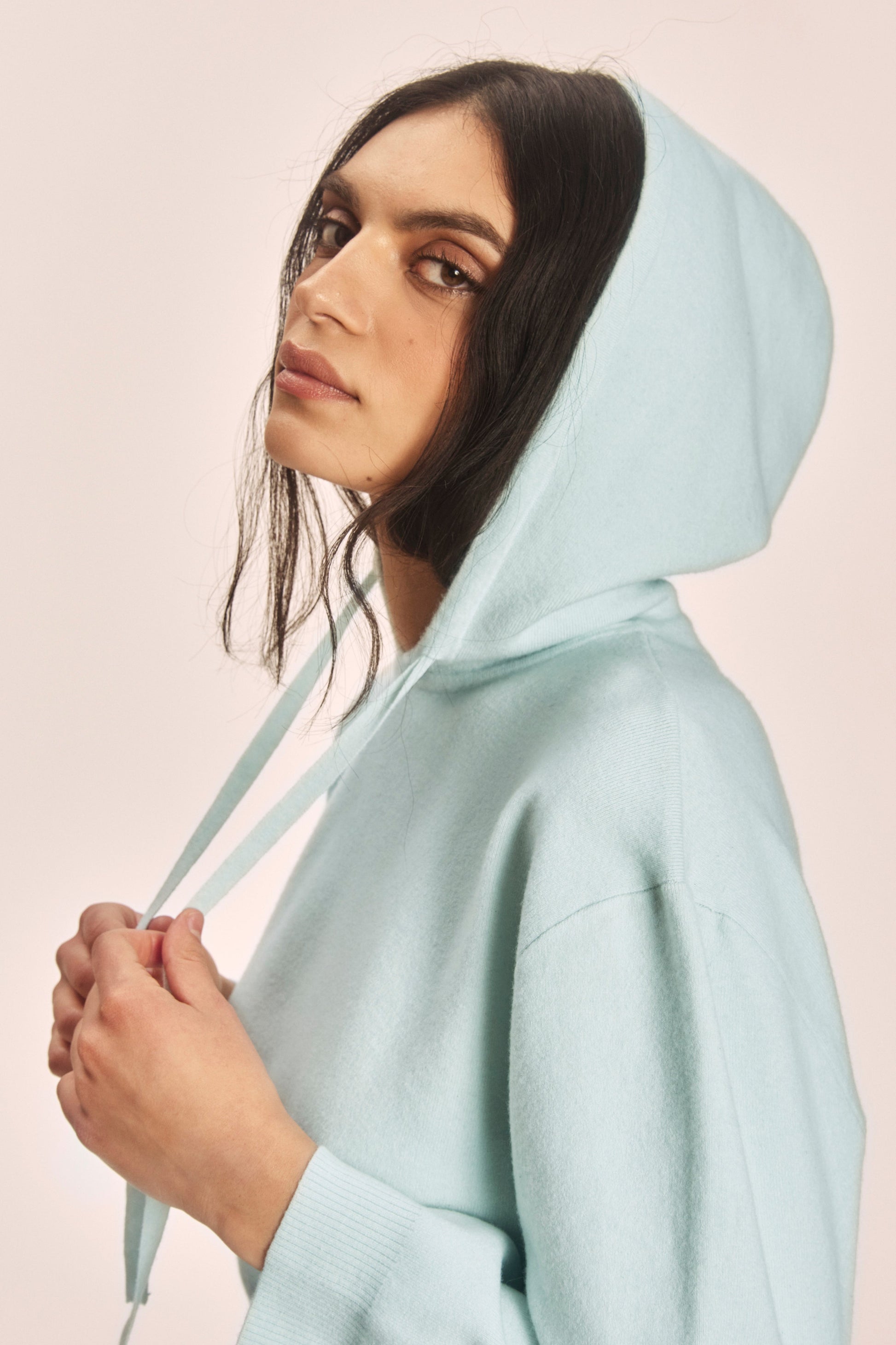 Celeste Hoodie Archive