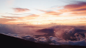 A Conversation with Dr. Marjorie Woollacott + The Healing Summit
