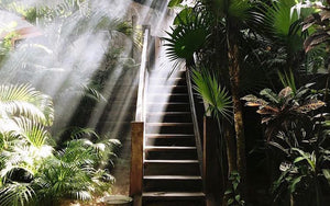 A Moment with Spa Radiance