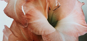 Glimpse At Sunrise Springs Integrative Wellness Resort
