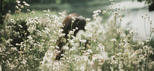 A Glimpse At Nucifera