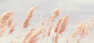 Glimpse At Naturopathica Chelsea