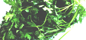 How To: Cilantro & Pumpkin Seeds