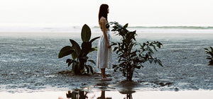 Breathwork For The New Year