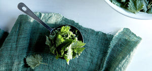 Weeds As Food And Medicine