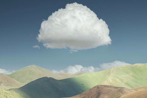 A Glimpse at Climate Neutral