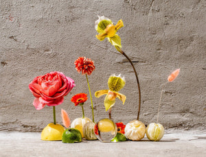 A Glimpse at Function of Beauty at Showfields