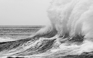 Saving The Oceans with One Ocean Beauty