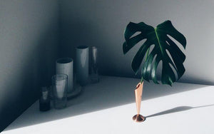 A Glimpse at Kollo