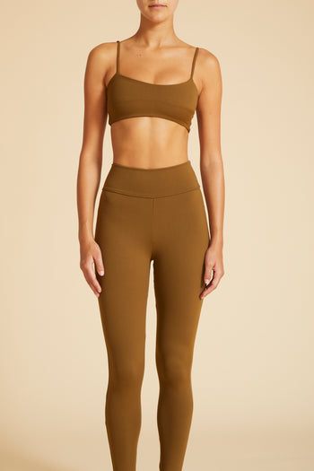 Cosmos Bra Archive