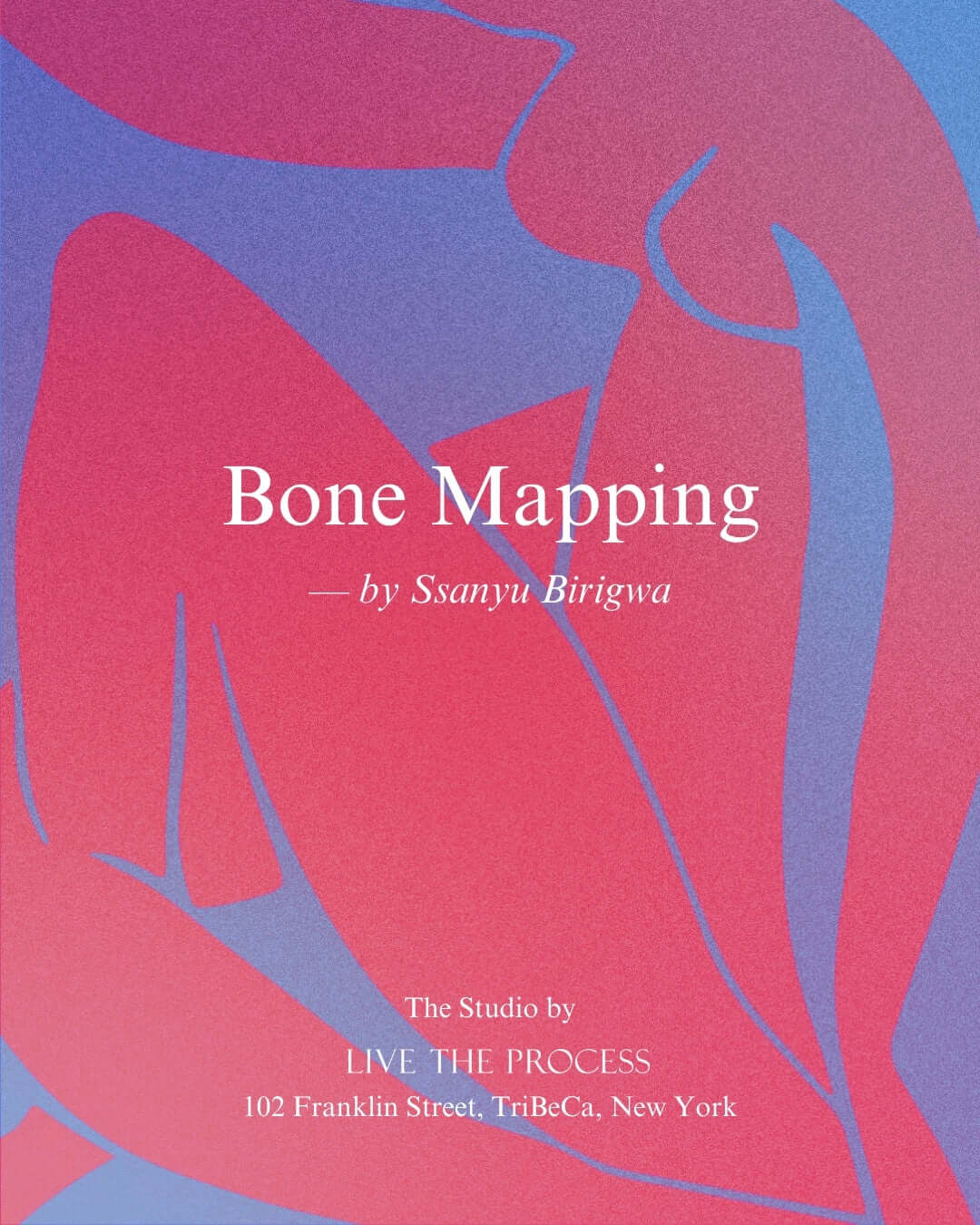 Bone Mapping Class