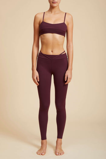 Cosmos Bra Archive