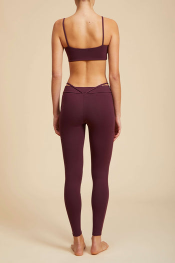 Cosmos Bra Archive