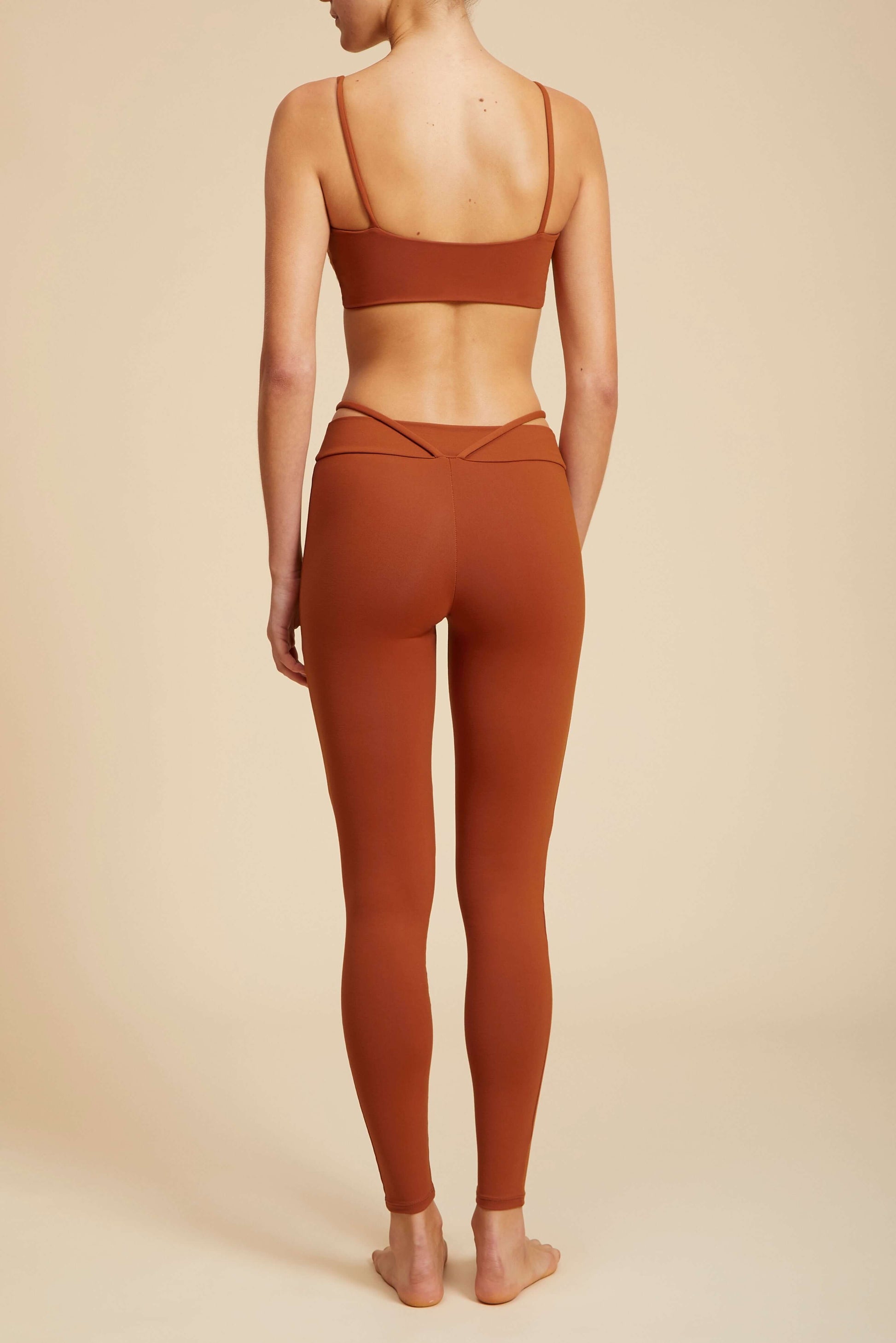 Cosmos Bra Archive