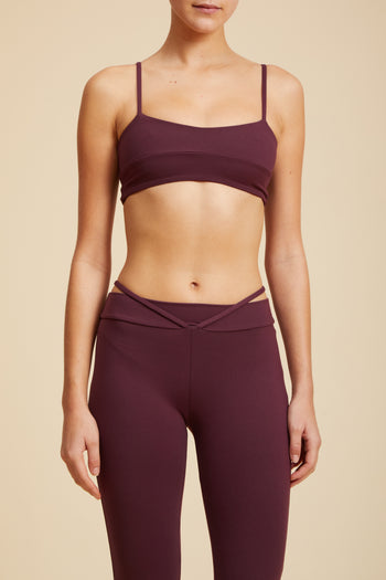 Cosmos Bra Archive